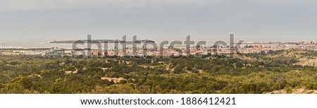 View of Mogador Island from a Beach in Essaouira Morocco with a Seagull Royalty-Free Stock Photo #1886412421