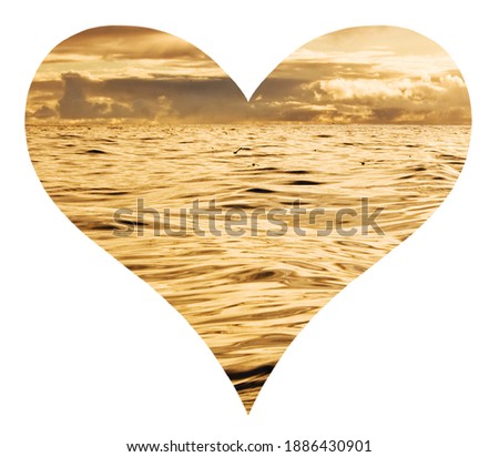 Heart with a beautiful sea of golden color