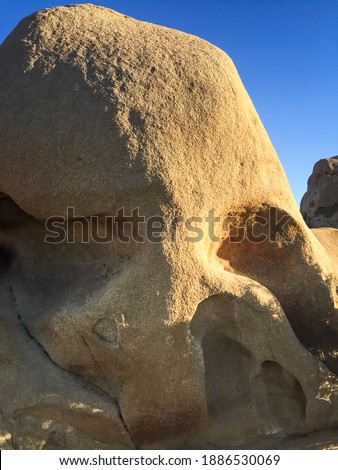 View of Skull Rock in Joshua Tree National park in California.