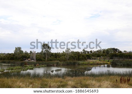 Wetlands in South East suburbs of Melbourne, Victoria, Australia showing trees, gardens, lake