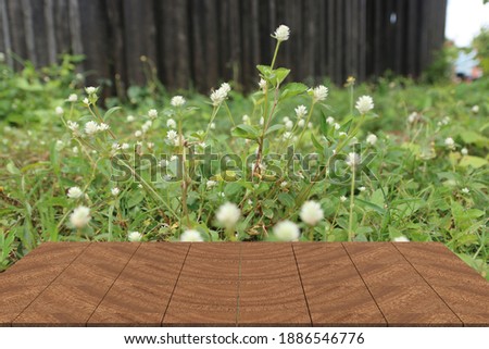Wooden floor for placing things on nature background 3d illustration.