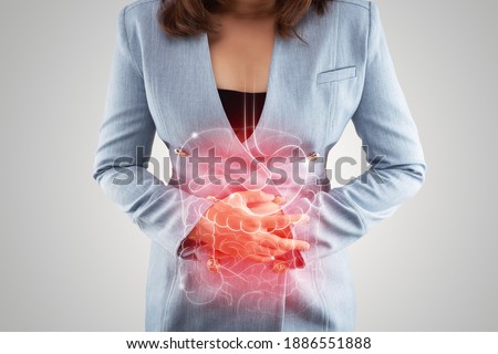Illustration of internal organs is on the woman's body against the gray background. Business Woman touching stomach painful suffering from enteritis. internal organs of the human body. IBS Royalty-Free Stock Photo #1886551888