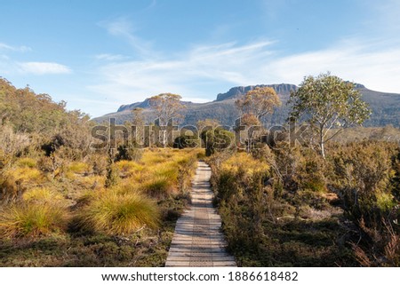 Overland track wooden boardwalk - Tasmania Royalty-Free Stock Photo #1886618482