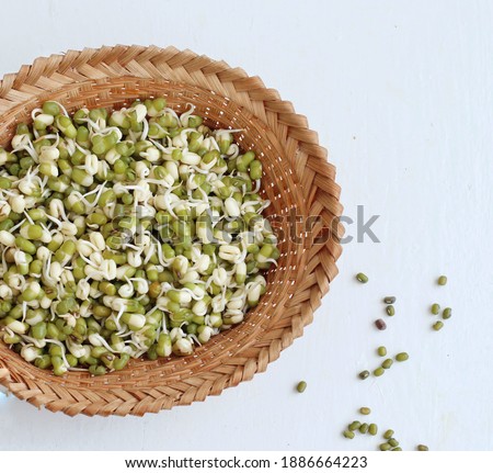  kecambah or Short Mung bean sprouts in bamboo basket, top view and selective focus

