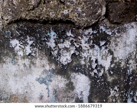 a wall peeled off by fungus, Aceh Indonesia