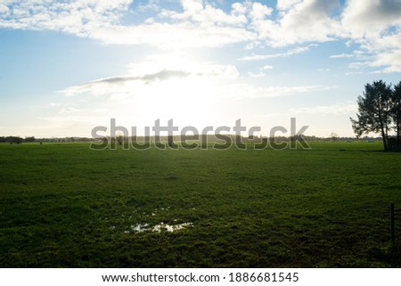 
landscape in east friesland, northern germany Royalty-Free Stock Photo #1886681545