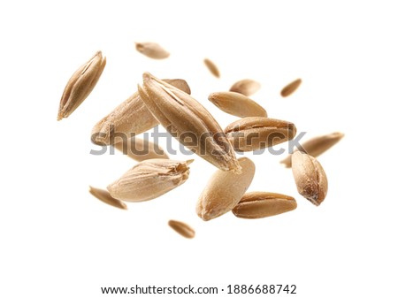 Oat grains levitate on a white background Royalty-Free Stock Photo #1886688742