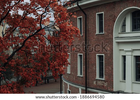 There is a view from the window. You can see autumn tree and a brick building. This picture I had in Sankt Petersburg. This is popular city in Russia for travelling. 