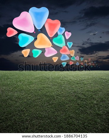 Colorful love heart balloon with green grass field over sunset sky with birds, Happy valentines day concept