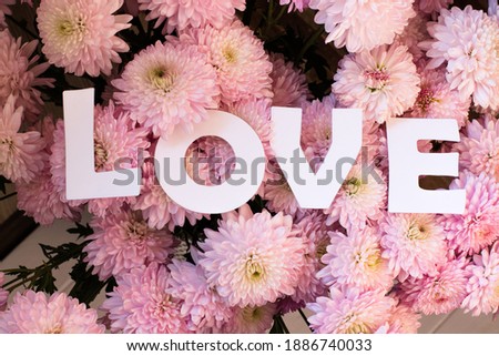 White inscription love against the background of pink chrysanthemums