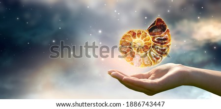 Human hand holding ammonite fossil in universe against space sky and shining stars background. Symbol of eternity, extinction and evolution, time concept. Royalty-Free Stock Photo #1886743447
