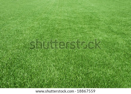 Clean empty football grass field