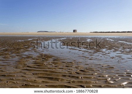 Tidal flats with flags in the background Zeeland the Netherlands Europe