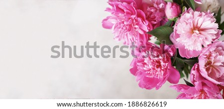 Bouquet of pink peonies on a beige picturesque banner with a copy space. High quality photo