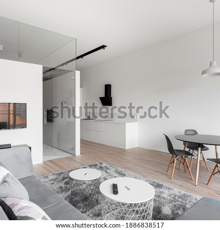 Stylish open plan apartment with kitchen, living room and dining area in one room