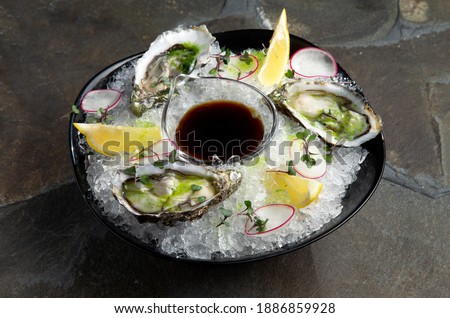 Fresh oysters on ice. In a plate on a dark background