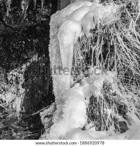 black and white photograph showing rim along with ice carambos on snow and water and branches