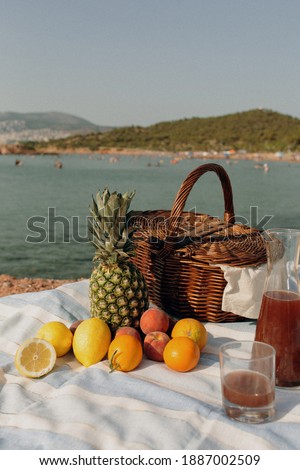 Pic nic by the sea with fruits and juice