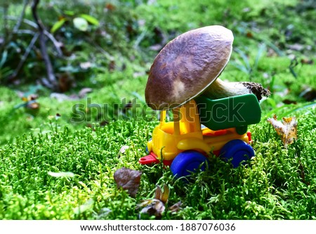 Funny toy truck transports a natural Porcini Cep White Mushroom in the forest against a background of green moss and trees. Children playing a game. Mushrooming harvesting season in wildlife