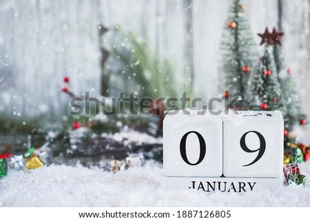 White wood calendar blocks with the date January 9th for National Law Enforcement Appreciation Day with snow. Selective focus with blurred background. 
