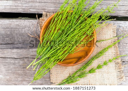 few twigs Equisetum arvense, field horsetail or common horsetail on wooden plate. Top view. Flat lay Royalty-Free Stock Photo #1887151273