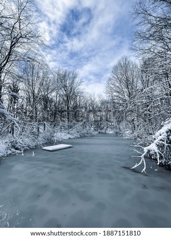 Winter Wonderland Aesthetic Photos