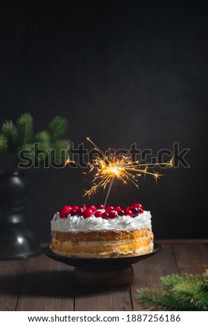 Festive cake with candles on the dark background with cranberries homemade bakery vertical image