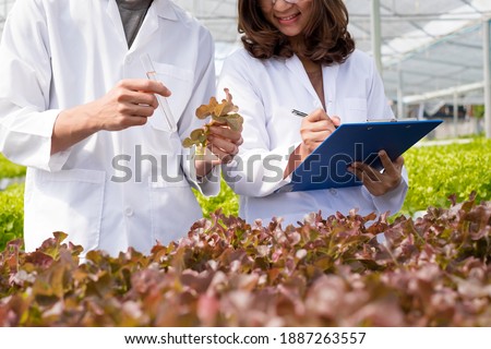 Hydroponics, two Asian scientists, tested the standards and collected chemical data of the organic vegetables grown using hydroponics in the nursery.