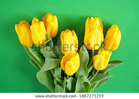 beautiful tulips flowers bouquet on green background, closeup