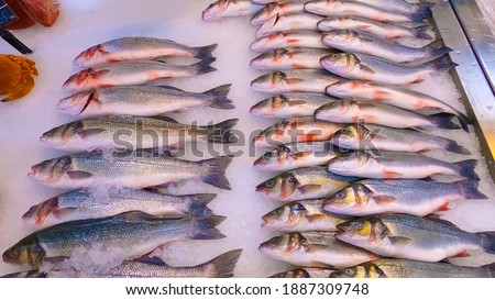 Fresh fish sibas on ice at abstract store or market