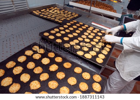 A tray of ready-made cookies is taken from the conveyor belt in the bakery.