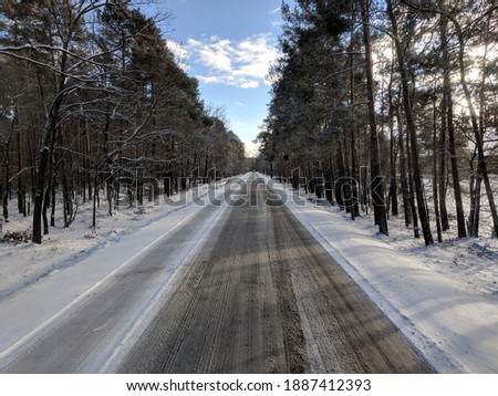 Lonely winter road in the forest