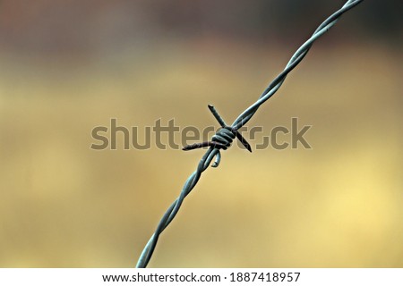 A barbed wire with a blurred background
