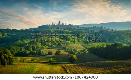 Panoramic view of countryside chianti and vernaccia vineyards. San Gimignano at sunset. Tuscany, Italy, Europe. Royalty-Free Stock Photo #1887424900