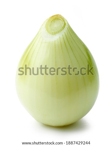 raw peeled onion isolated on white background
