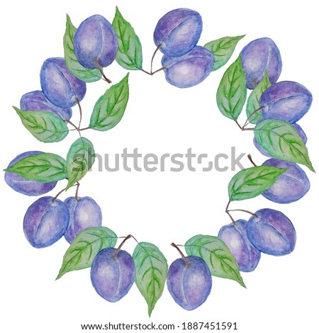 Watercolor round illustration with plums. Isolated on white background for fabric, wrapping paper, scrapbooking, textile, etc.