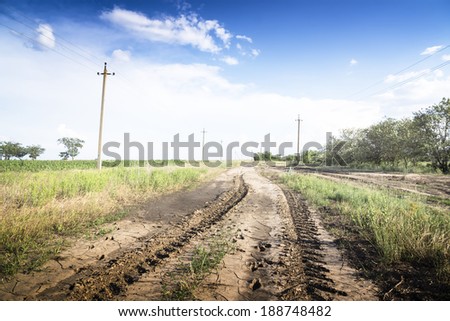 Dirt road through the green fields. Sunny.