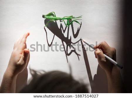 child draws with pencil contrasting shadows from toy mantis insect. creative ideas for children's creativity. Interesting activities for children during self-isolation, in kindergartens. Shadow games