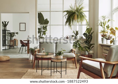 Modern scandinavian interior of living room with design grey sofa, armchair, a lot of plants, coffee table, carpet and personal accessories in cozy home decor. Template.
