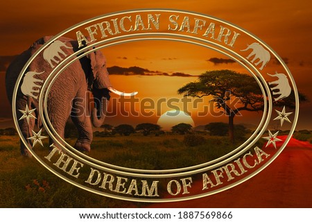 Beautiful pictures of Africa sunset and sunrise with elephants 