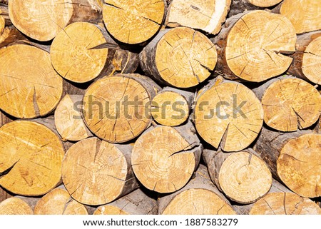 Background of dry firewood, logs stacked on top of each other in a pile