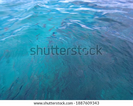 Snorkeling Blue ocean with full of fish 