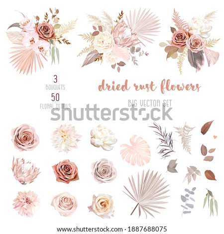 Trendy dried palm leaves, blush pink and rust rose, pale protea, white ranunculus, pampas grass vector design big set.Trendy flowers. Beige, gold, brown, rust, taupe.Elements are isolated and editable Royalty-Free Stock Photo #1887688075