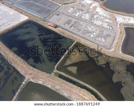 Sea fish ponds on land. Fish cultivators and pond plots. Marine fishing industry. The abstract shape of the land is visible from the air by aerial photo of fish-farm and production