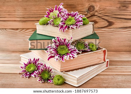 Composition with old books and chrysanthemum flowers, wooden, old background. Close-up.