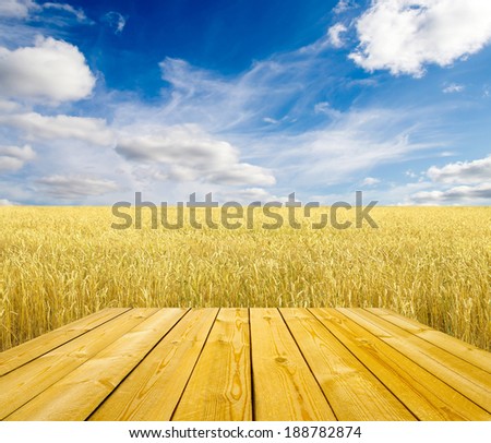 Wood floor over yellow wheat field on a background of clouds and sky