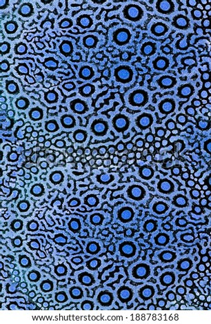 Blue Leopard pattern Background 