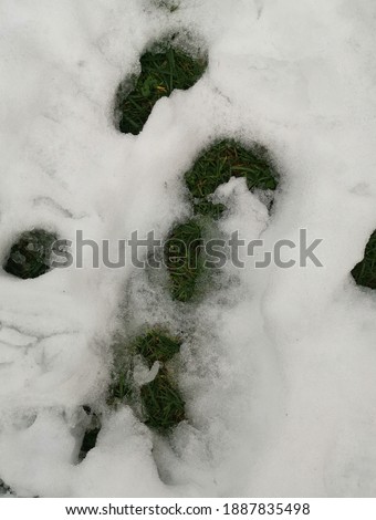 Footprint from shoes on grass covered with snow.