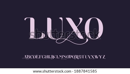 Elegant awesome alphabet letters font and number. unique serif font. Classic Lettering Minimal Fashion Designs. Typography fonts regular uppercase and lowercase. vector illustration Royalty-Free Stock Photo #1887841585