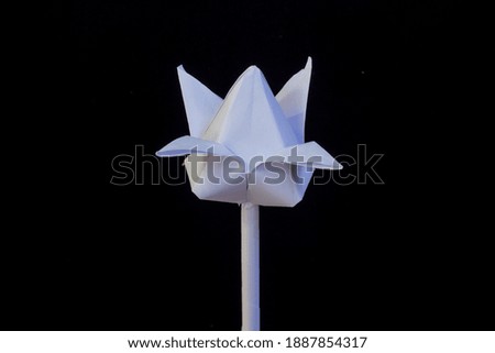 Paper lotus crafting by Thai student on the black background